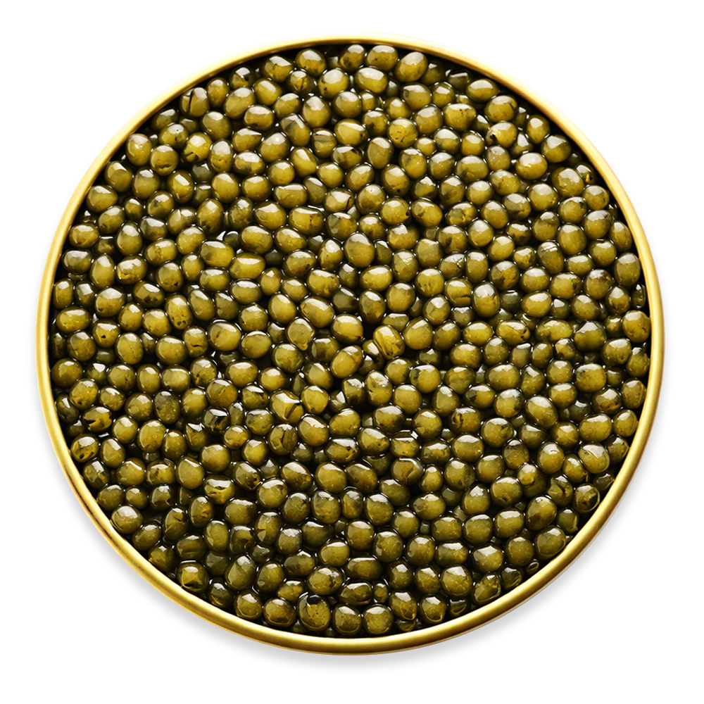 Черная икра Golden Osetr – банка – 8,82 унции (250 г)